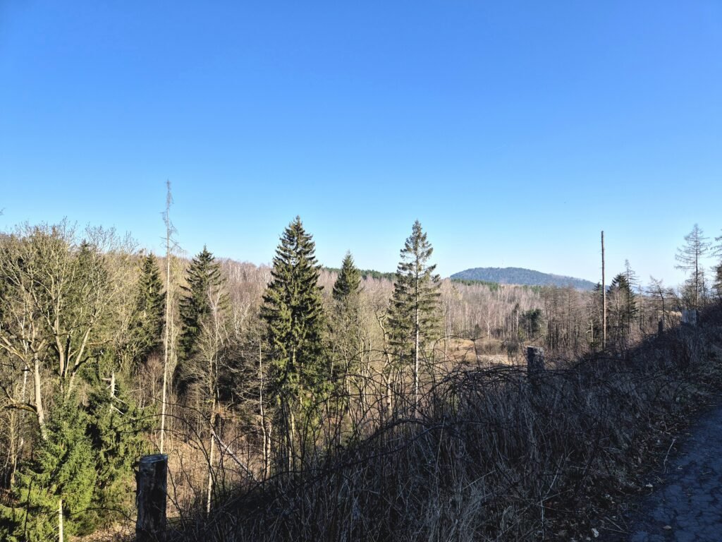 Harzmarsch Goslar 30 km Harz