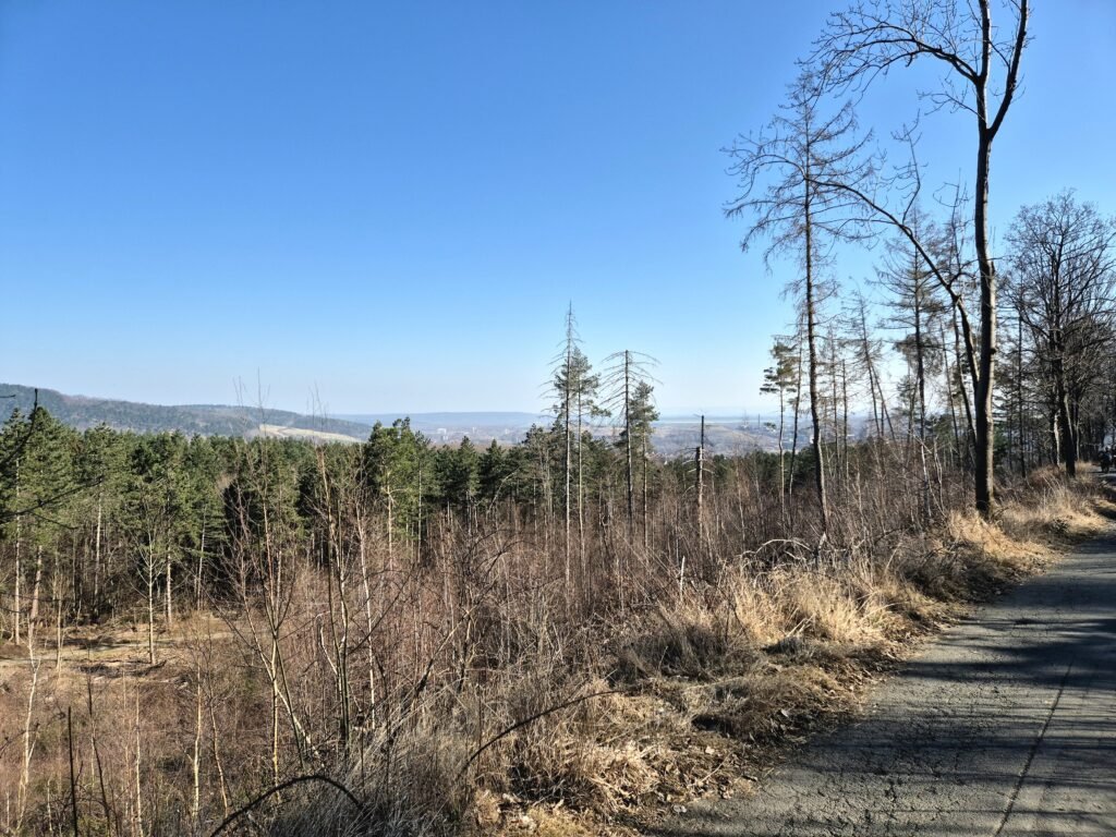 Harzmarsch Goslar 30 km Harz