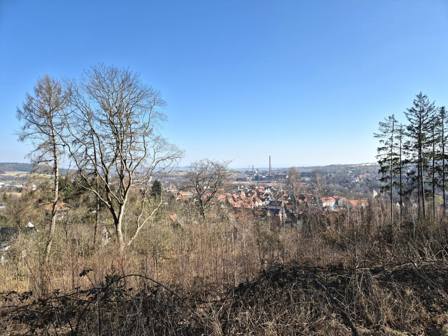 Harzmarsch Goslar 30 km Oker