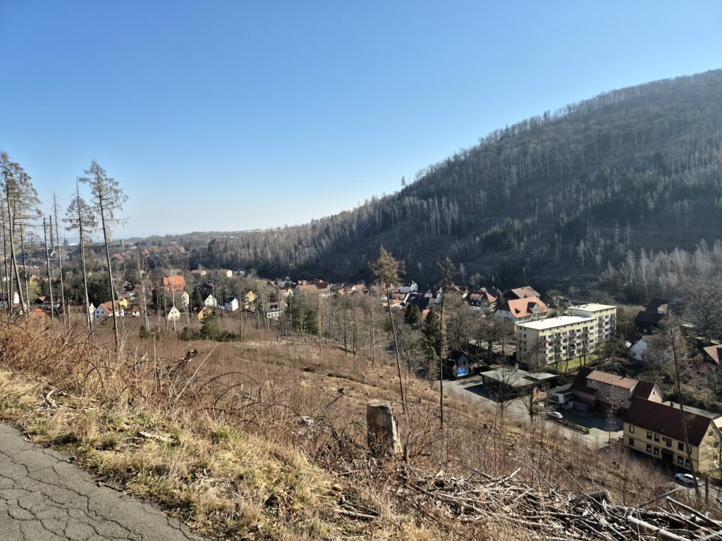 Harzmarsch Goslar 30 km Oker