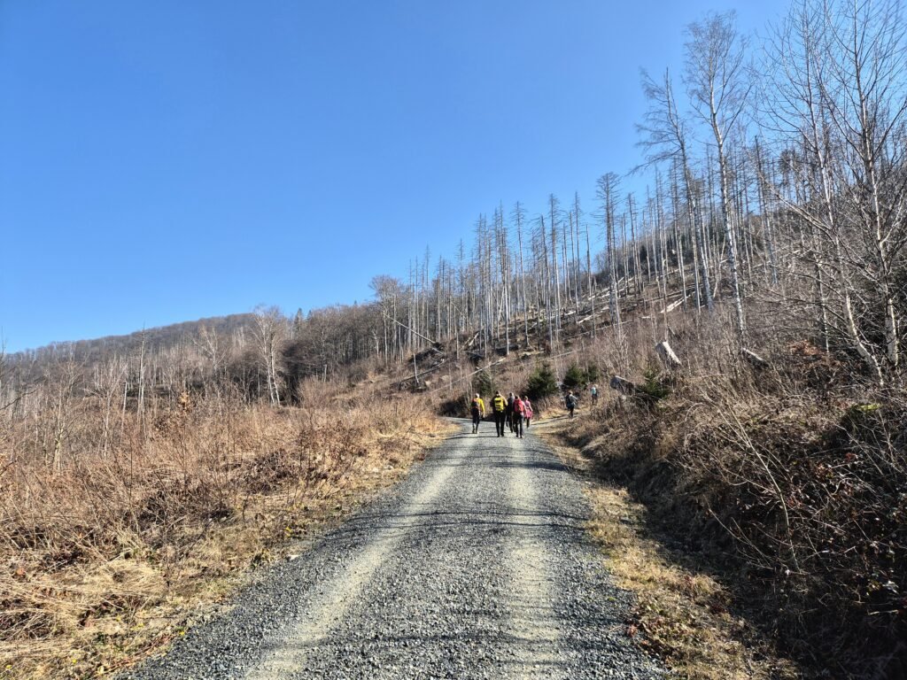 Harzmarsch Goslar 30 km