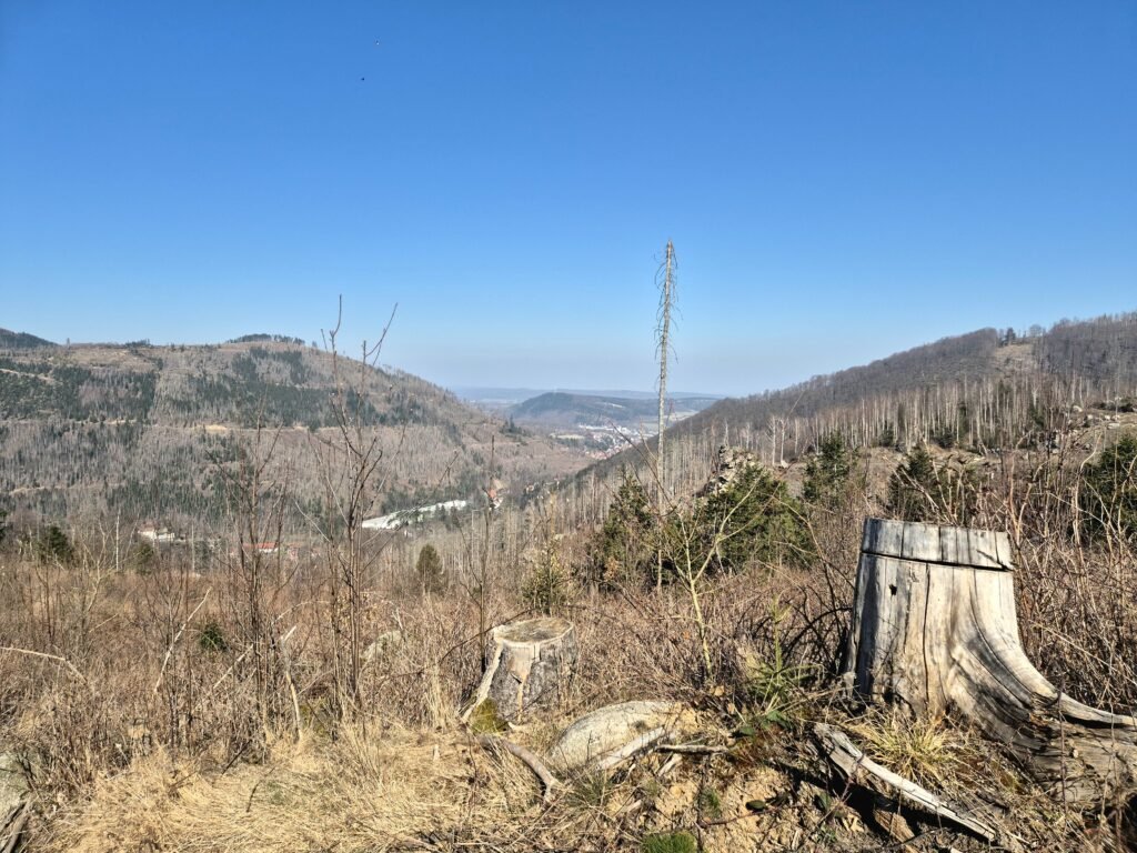 Harzmarsch Goslar 30 km