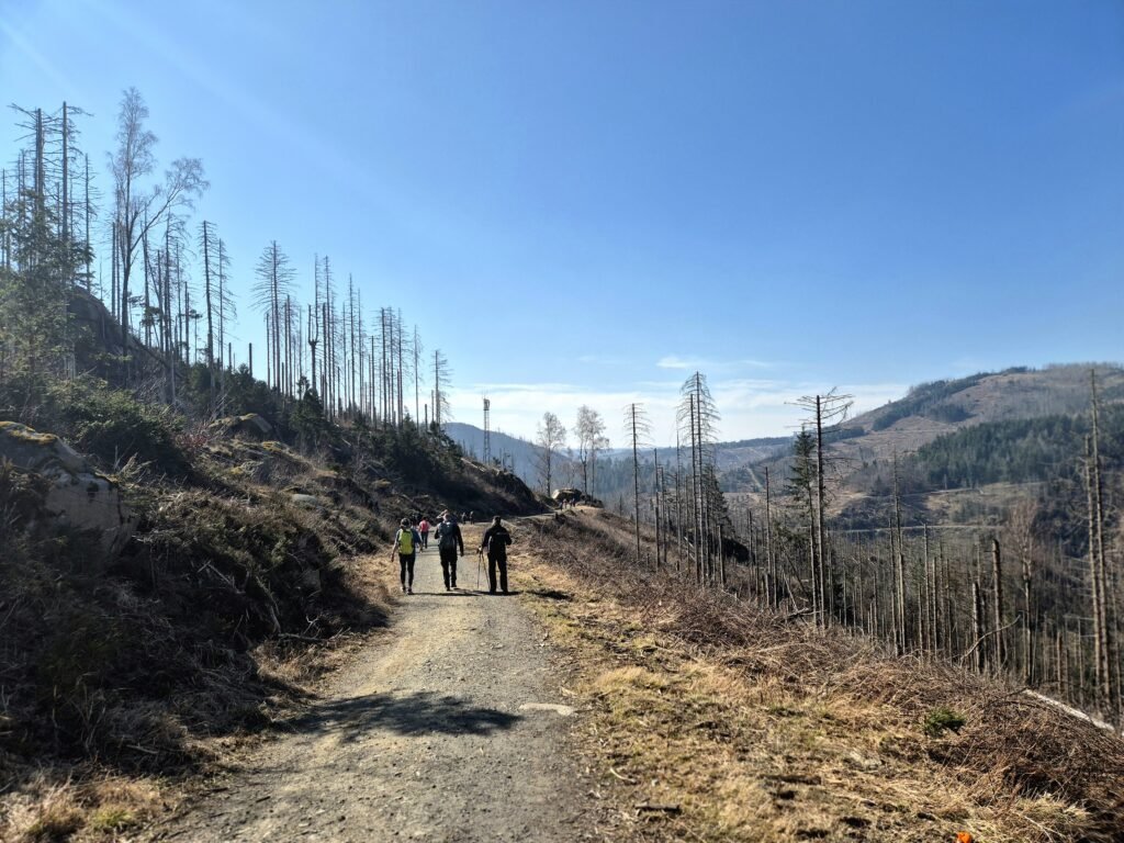 Harzmarsch Goslar 30 km