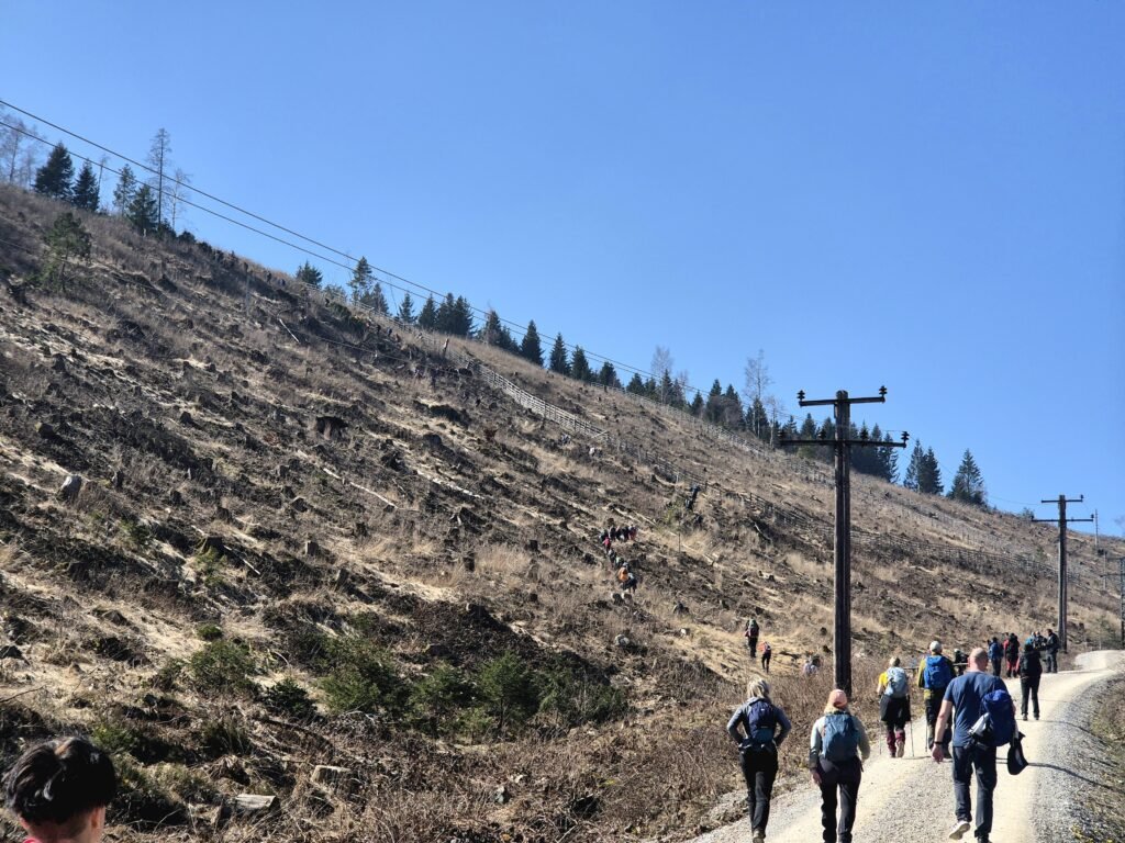 Harzmarsch Goslar 30 km