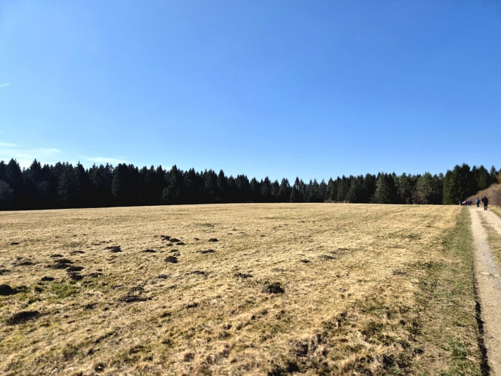 Harzmarsch Goslar 30 km