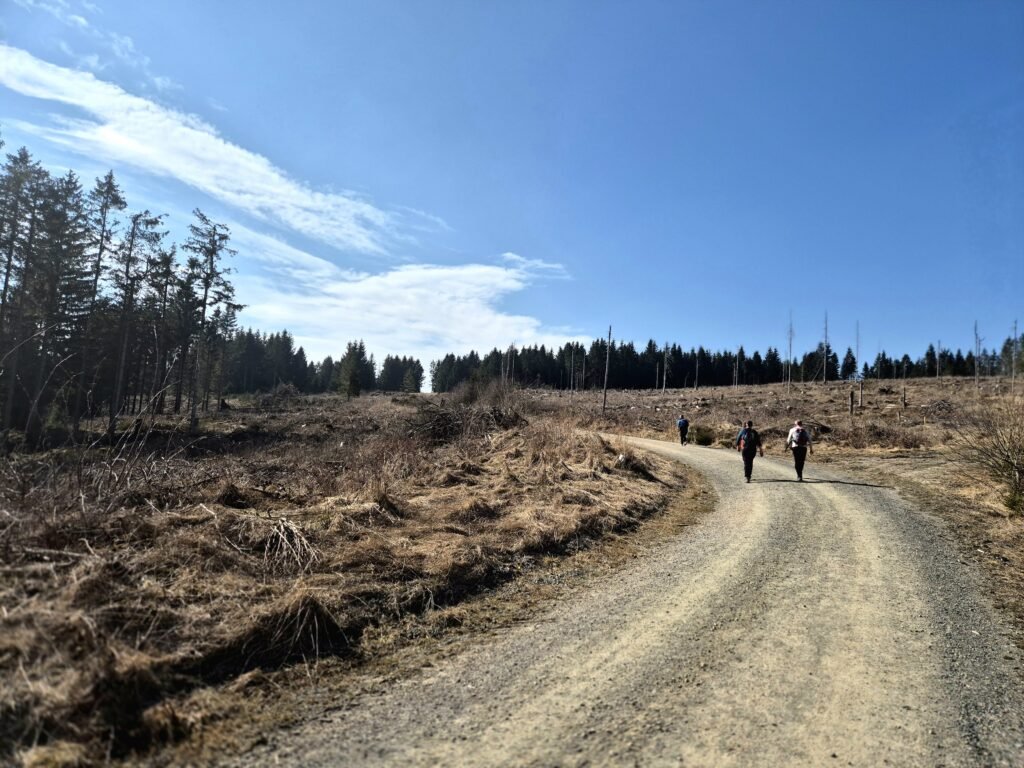 Harzmarsch Goslar 30 km