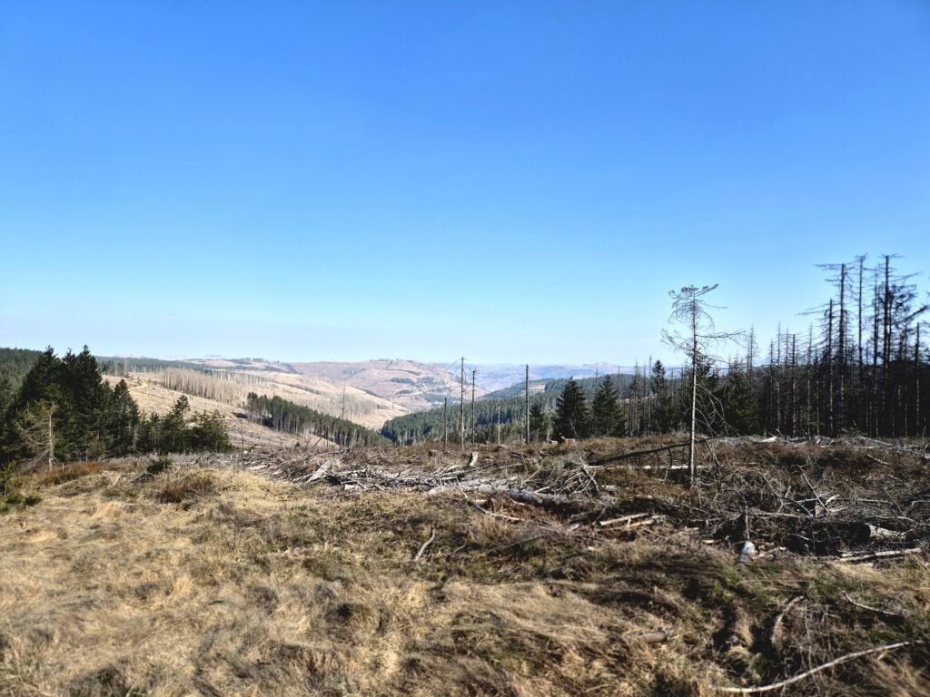 Harzmarsch Goslar 30 km