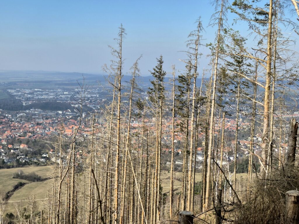 Harzmarsch Goslar 30 km
