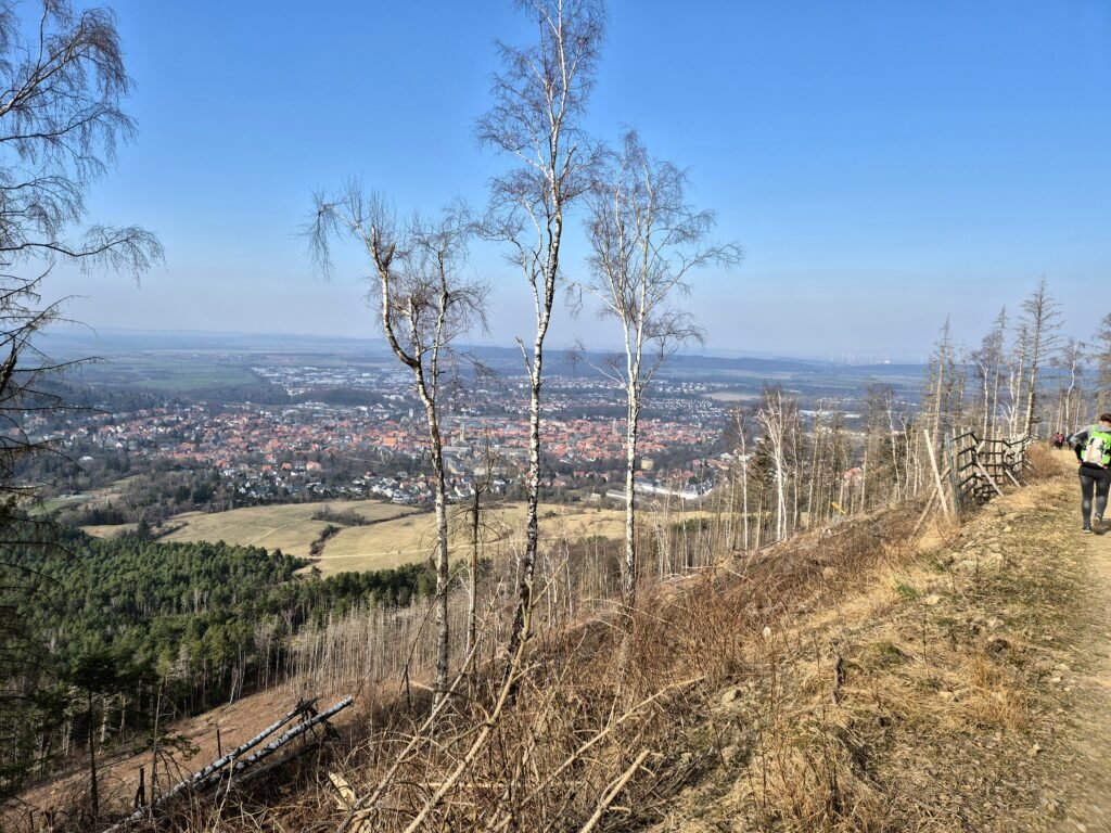 Harzmarsch - Blick auf Goslar