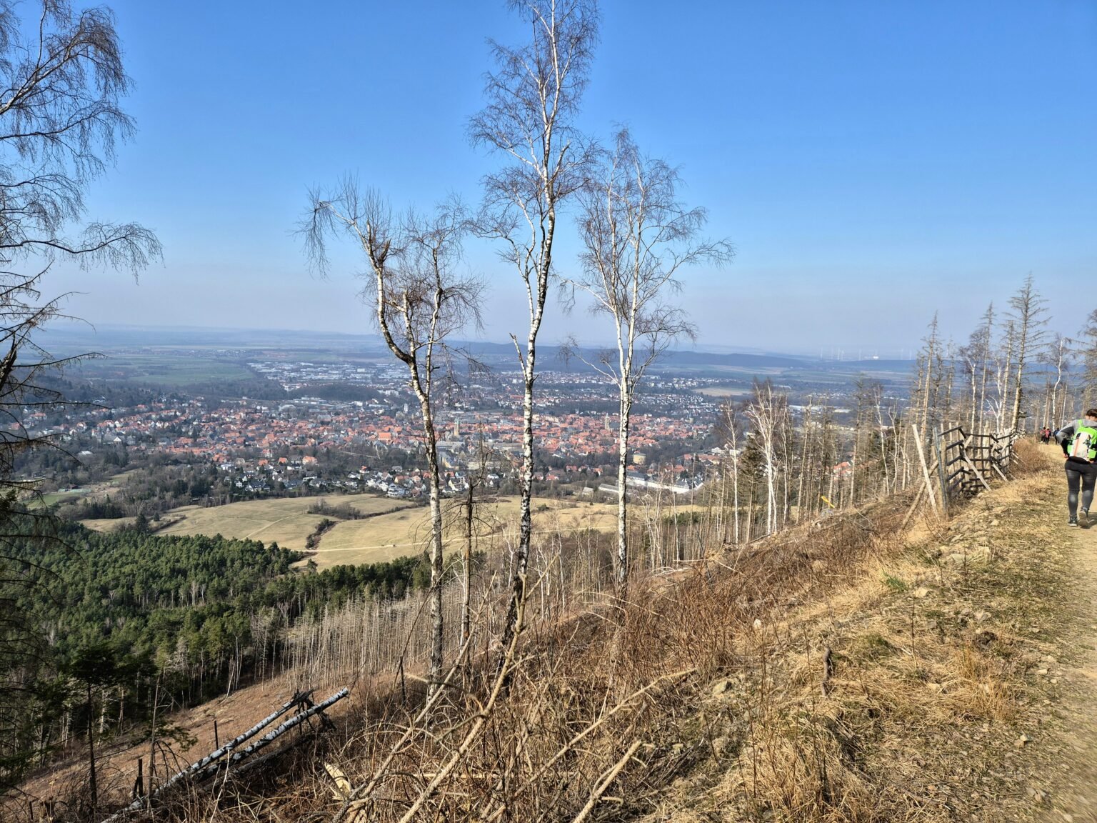 Harzmarsch - Blick auf Goslar