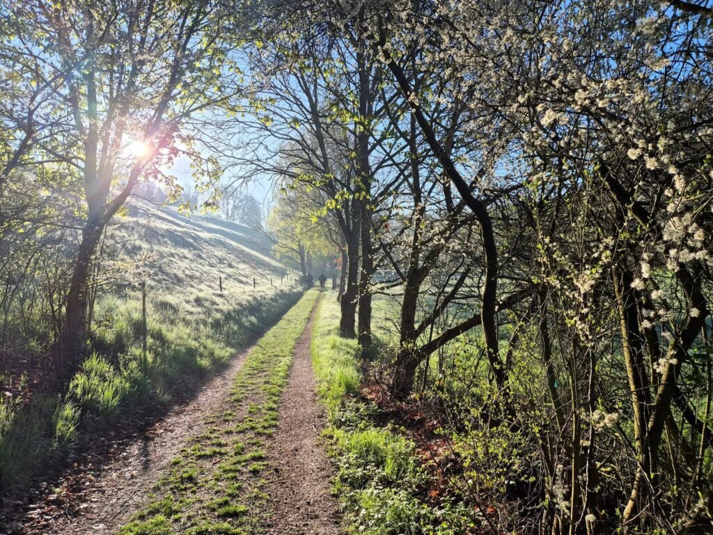 Hikethon 2025