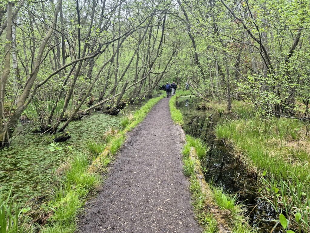 Mammutmarsch 55KM Kopenhagen