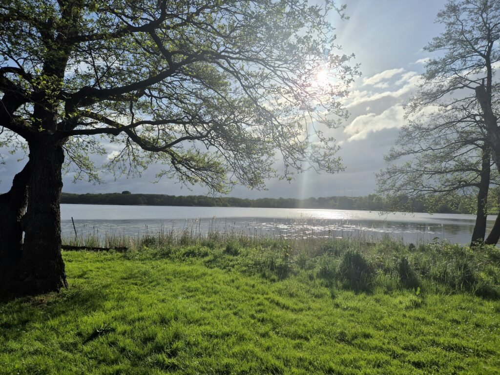 Mammutmarsch 55KM Kopenhagen