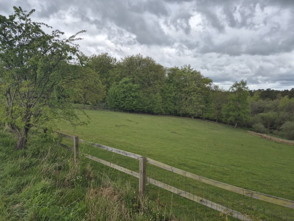 Mammutmarsch 55KM Kopenhagen