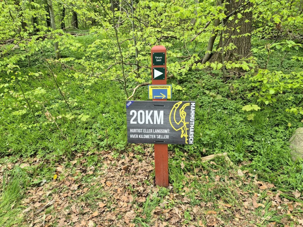 Mammutmarsch 55KM Kopenhagen