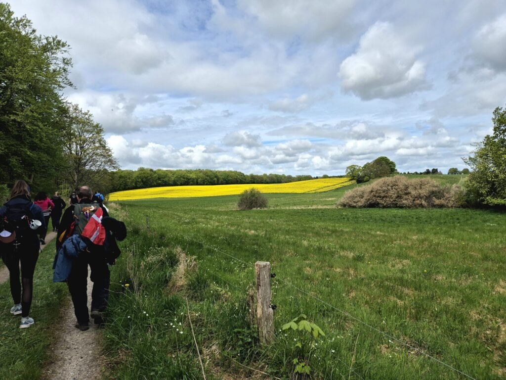 Mammutmarsch 55KM Kopenhagen
