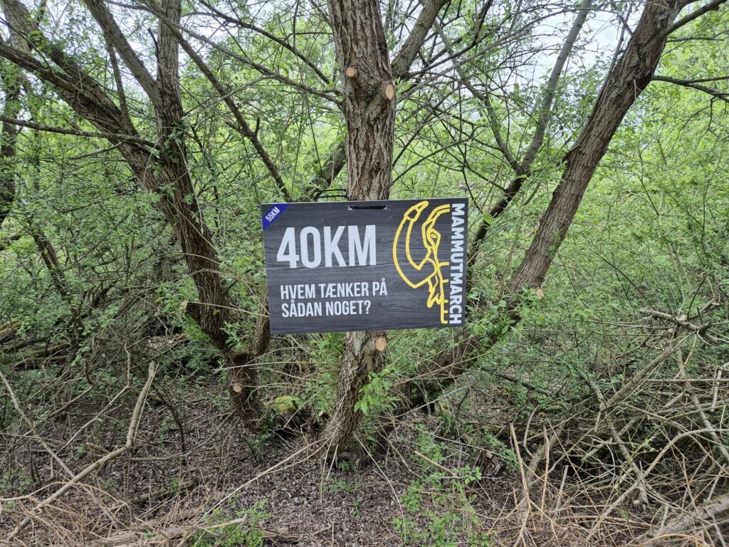 Mammutmarsch 55KM Kopenhagen